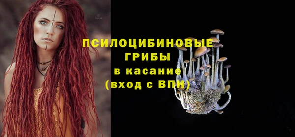 mdpv Инта