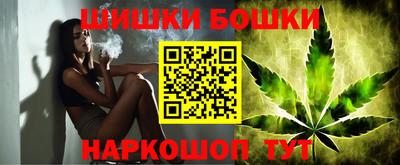 кокс Гатчина
