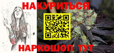 кокс Гатчина