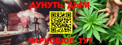 кокс Гатчина