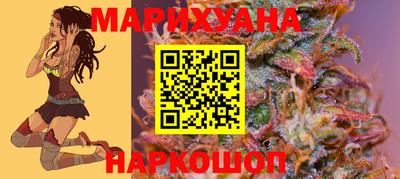 кокс Гатчина