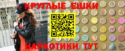 кокс Гатчина