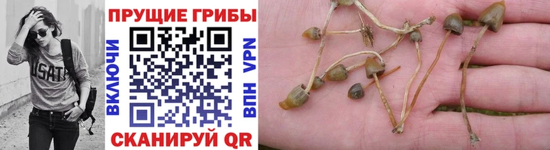 где найти наркотики  Клин  Галлюциногенные грибы мухоморы 