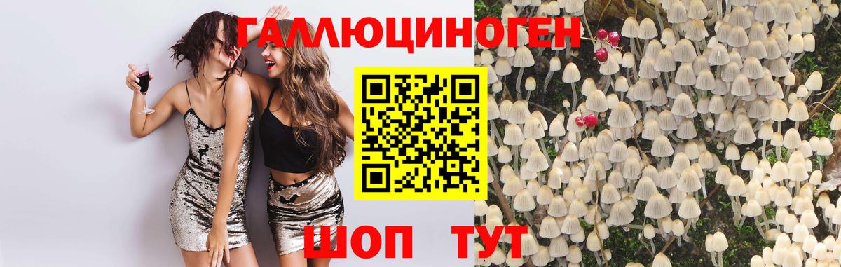Галлюциногенные грибы GOLDEN TEACHER  Галлюциногенные грибы MAGIC MUSHROOMS  Клин  Вход с VPN 